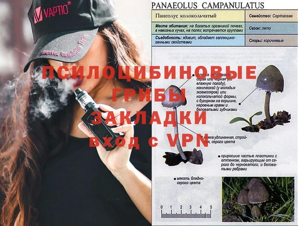 прущий лед Алексеевка