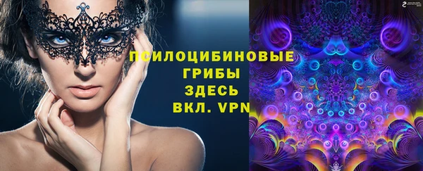 прущий лед Алексеевка