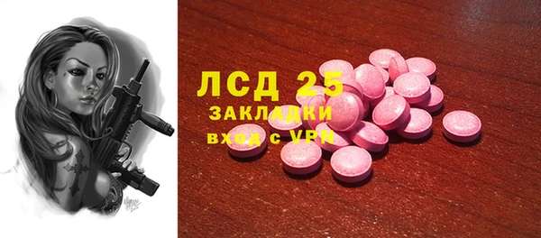 крисы Алзамай