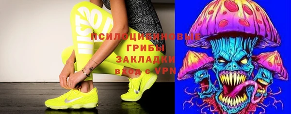 крисы Алзамай