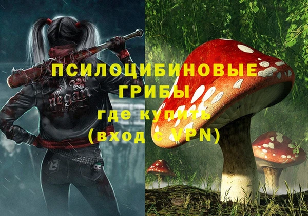 крисы Алзамай