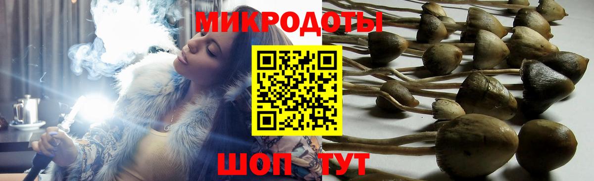 Узловая  Псилоцибиновые грибы мицелий  Псилоцибиновые грибы Psilocybe  Вход с VPN 