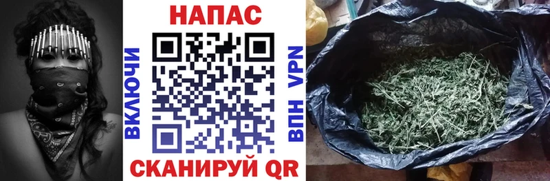 Марихуана SATIVA & INDICA  Узловая 